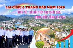 Lai Châu 6 tháng đầu năm 2026: Kinh tế - xã hội tiếp tục khởi sắc, GRDP ước tăng 8,73%