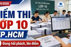 Điểm thi lớp 10 TP.HCM 2026: Hôm nay tiếp tục hồi phách, lên điểm