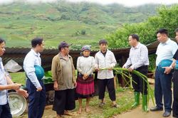 Đảng viên Tà Xi Láng tiên phong mở hướng thoát nghèo cho người dân vùng cao