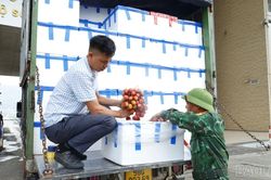 Tạo thuận lợi cho xuất khẩu quả vải tươi