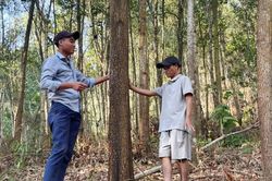 Làm giàu trên vùng đất khó