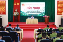 Hội nghị bàn giải pháp quản lý, bảo tồn quần thể khỉ và giảm thiểu thiệt hại đối với sản xuất nông nghiệp