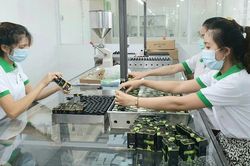 Phát triển kinh tế dược liệu ở Huế