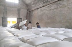 Đẩy nhanh tiến độ nhập gạo vào kho dự trữ quốc gia năm 2026