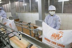 Doanh nghiệp đường chủ động xây dựng phương án quản trị rủi ro