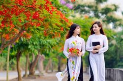 Tặng sĩ tử mùa thi 2026
