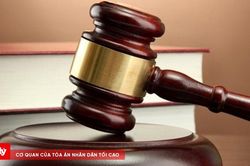 Đi tù vì uống bia đi xe máy gây ra tai nạn giao thông