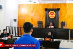 Mua bằng giả để 'chạy tội' tai nạn giao thông: Lưới trời khó lọt!