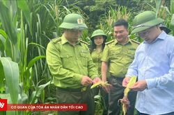 Đồng bộ giải pháp bảo vệ rừng, bảo tồn đa dạng sinh học