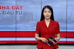 Bản tin Nhà đất và đầu tư | 13/06/2026