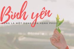 Chậm lại để thấy một nhịp bình yên