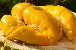 Người mắc 1 trong 5 bệnh này tuyệt đối không ăn sầu riêng