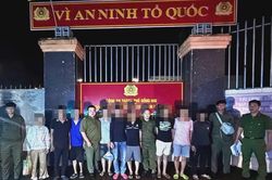Truy vết một người, lộ cả đường dây ma túy 38 đối tượng ở Đồng Nai