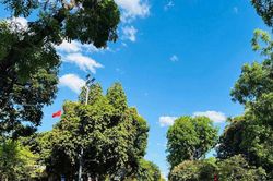 Thời tiết 13/6: Hà Nội nắng nóng gay gắt, miền Trung có nơi trên 38°C