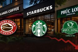 Highlands, Starbucks, Phúc Long giảm điểm trên bảng xếp hạng ẩm thực và đồ uống