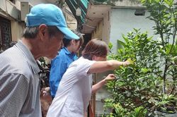 Phường Văn Miếu - Quốc Tử Giám: Tăng cường các biện pháp chủ động phòng, chống sốt xuất huyết