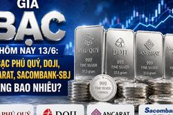 Giá bạc hôm nay 13/6: Bạc Phú Quý, Doji, Ancarat, Sacombank-SBJ tăng bao nhiêu?