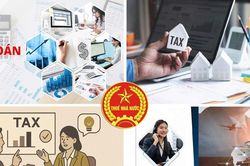 Cục Thuế đề nghị đại l&yacute;, tổ chức tư vấn thuế kh&ocirc;ng tiếp tay h&agrave;nh vi lập 2 hệ thống sổ s&aacute;ch kế to&aacute;n
