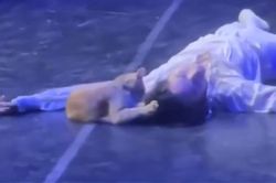 Hy hữu Romeo v&agrave; Juliet, từ bi kịch th&agrave;nh &hellip; h&agrave;i kịch