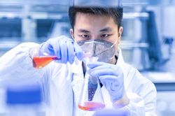Đại học Harvard mất vị trí số 1