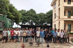 Gia Lai: Bắt giữ 31 đối tượng tham gia đá gà