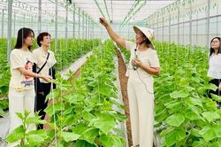 Hướng đi 'xanh' của du lịch Việt