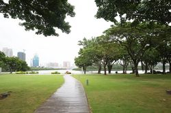 Hồ Vân Đang: Từ 'hồ nước chết' đến không gian sinh thái giữa lòng thành phố Hạ Môn
