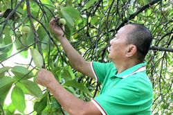 Giữ m&agrave;u xanh ven s&ocirc;ng S&agrave;i G&ograve;n
