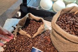 Giá cà phê hôm nay 14-6: Nông dân ồ ạt xả hàng