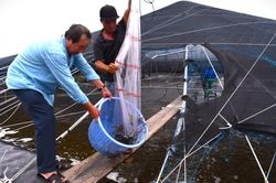 'Con tôm công nghệ' ở Long Điền