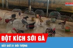 Gia Lai: Đột kích sới gà, bắt giữ 31 đối tượng