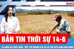 Bản tin thời sự 14-6: El Nino đã xuất hiện, tiếp tục mạnh lên và có thể kéo sang đầu năm 2027