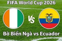 Nhận định, dự đoán trận đấu Bờ Biển Ngà vs Ecuador: 'Kẻ tám lạng, người nửa cân'