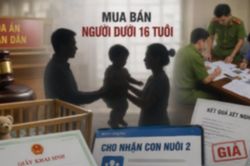 Việt kiều Mỹ hầu tòa vì âm mưu đưa trẻ ra nước ngoài