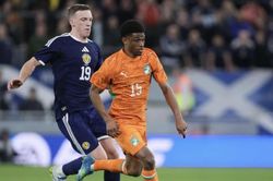 Nhận định Bờ Biển Ngà vs Ecuador, 06h00 ngày 15/6: Voi rừng đấu bê tông thép