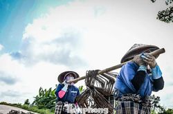 Công nhân hối hả giữa trời nắng đổ lửa tại dự án trọng điểm ở Ninh Bình