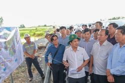Tập trung hoàn thành hai tuyến cao tốc huyết mạch của Đồng bằng sông Cửu Long
