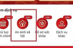 Cách tích hợp tài khoản hưởng An sinh xã hội trên VNeID