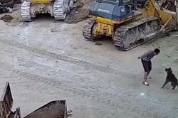 Bị chó dữ lao vào tấn công, người đàn ông tung đòn phản xạ khiến nhiều người kinh ngạc