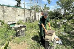 Cựu chiến binh giúp nhau làm kinh tế giỏi