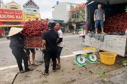 Bắc Ninh: Bảo đảm an to&agrave;n giao th&ocirc;ng phục vụ m&ugrave;a vải thiều 2026