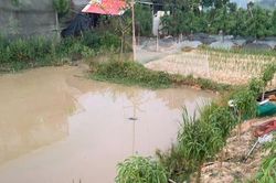 Bắc Ninh: Người đàn ông tử vong do cần câu vướng đường dây điện cao thế