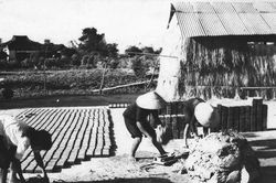 Hội An - nhìn từ hai làng cổ