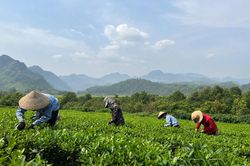 Hướng đến nền n&ocirc;ng nghiệp sạch, bền vững