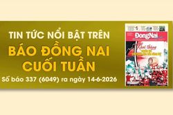 Tin tức nổi bật trên Báo Đồng Nai cuối tuần ra ngày 14-6-2026