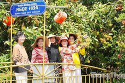 X&atilde; Lai Vung: N&acirc;ng tầm du lịch sinh th&aacute;i, miệt vườn