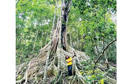 Đ&aacute;nh thức 'vi&ecirc;n ngọc xanh' Kon Ka Kinh