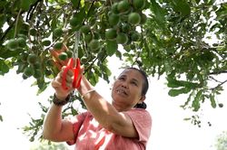 Thận trọng để bền vững