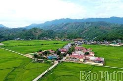 Đất rừng khơi mạch tiềm năng