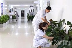 Nơi 'sức khỏe xanh' nảy mầm